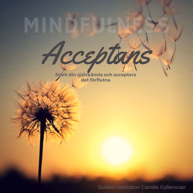 Omslag: Acceptans