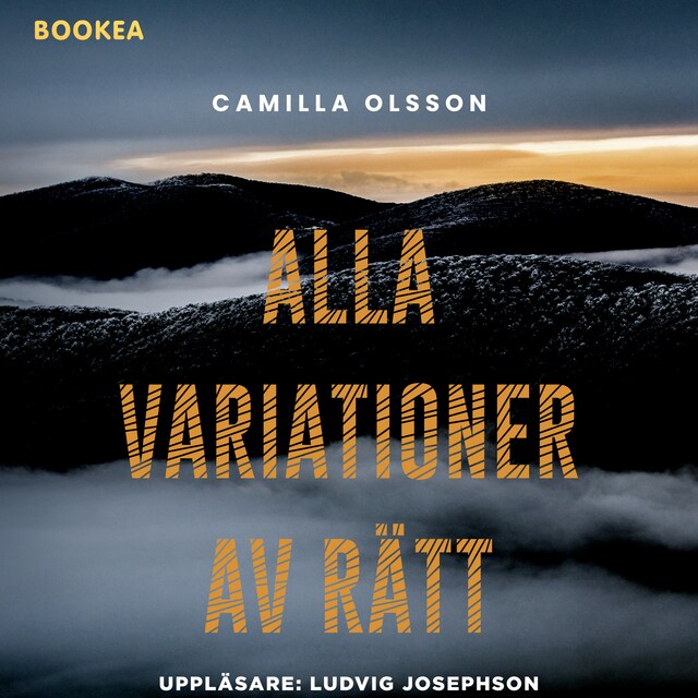 Omslag: Alla variationer av rätt