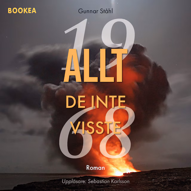 Omslag: Allt de inte visste