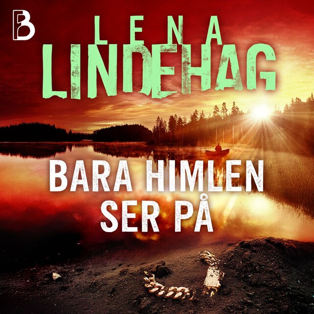 Omslag till ljudboken Bara himlen ser på