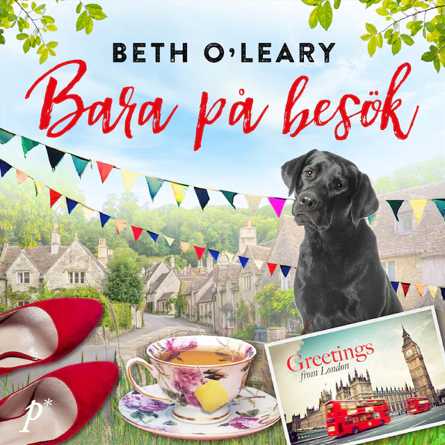 Omslag: Bara på besök