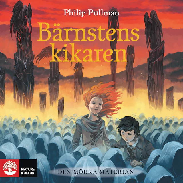 Omslag: Bärnstenskikaren