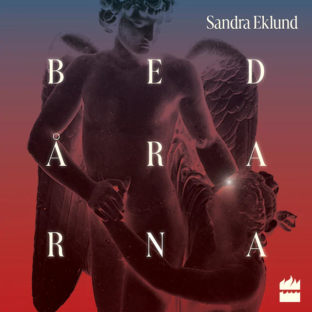 Omslag: Bedårarna