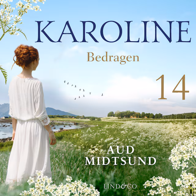 Omslag: Bedragen