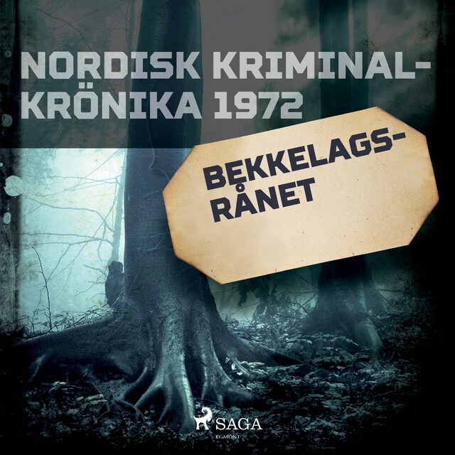 Omslag: Bekkelagsrånet