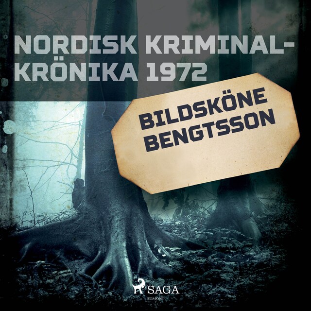 Omslag: Bildsköne Bengtsson