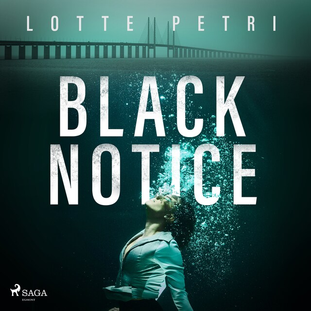 Omslag till ljudboken Black Notice