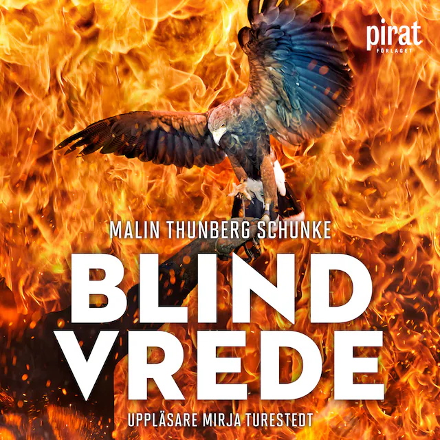 Omslag: Blind vrede