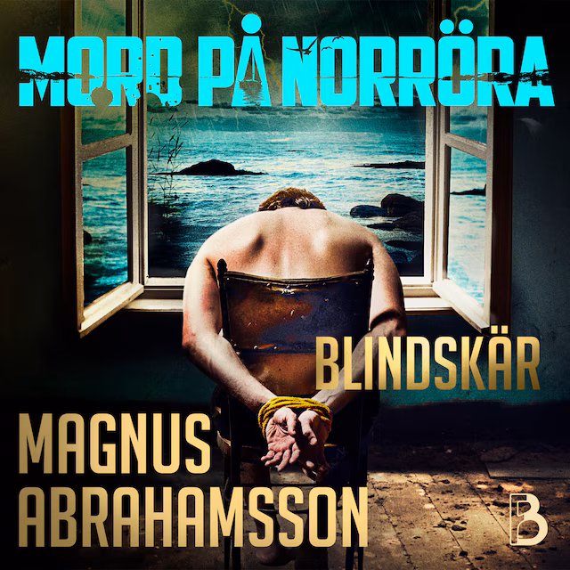 Omslag: Blindskär