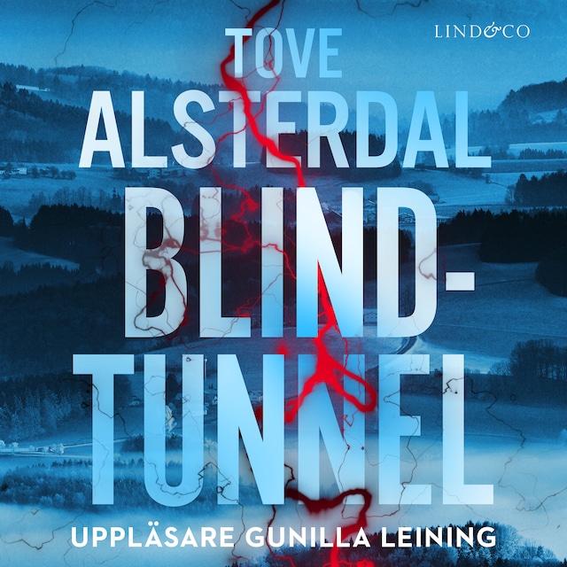 Omslag: Blindtunnel