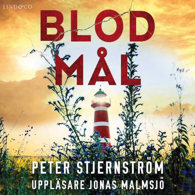 Omslag: Blodmål