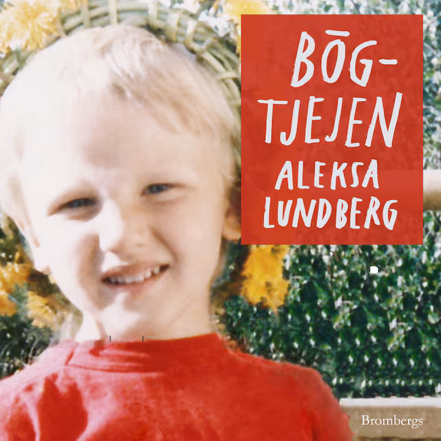 Omslag till ljudboken Bögtjejen