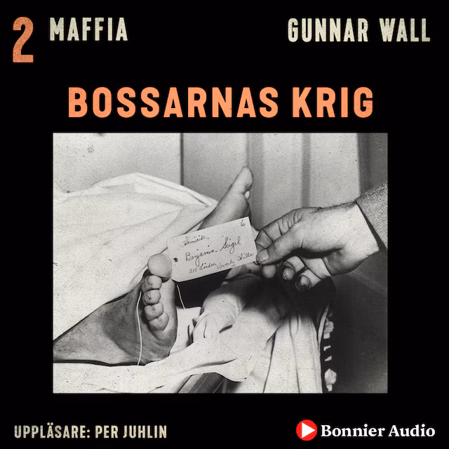 Omslag till ljudboken Bossarnas krig