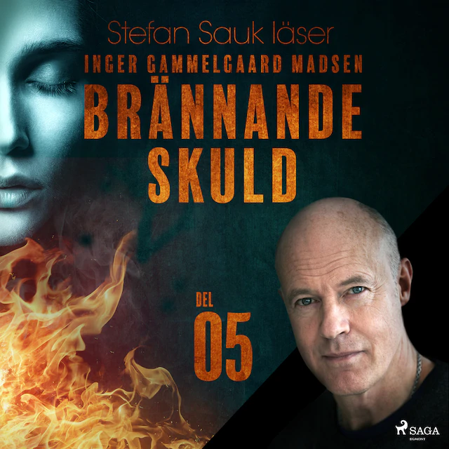 Omslag: Brännande skuld: Del 5