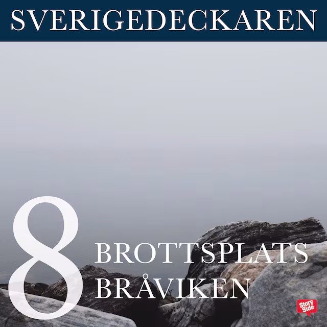 Omslag: Brottsplats Bråviken
