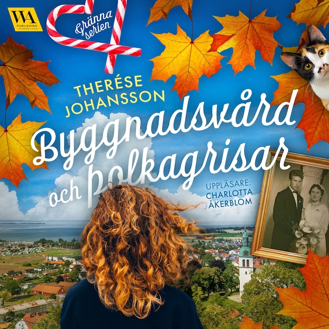 Omslag: Byggnadsvård och polkagrisar