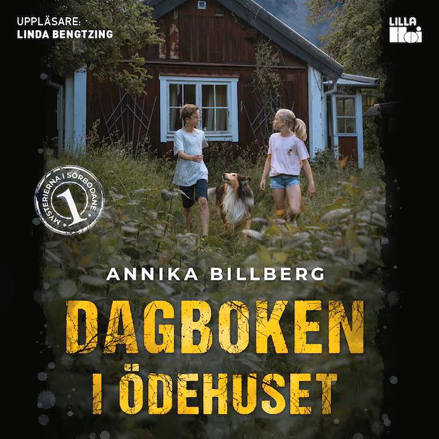 Omslag: Dagboken i ödehuset