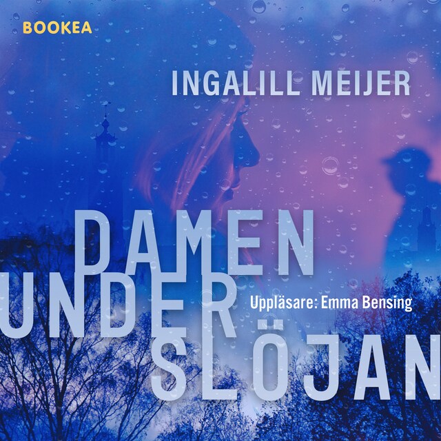 Omslag: Damen under slöjan