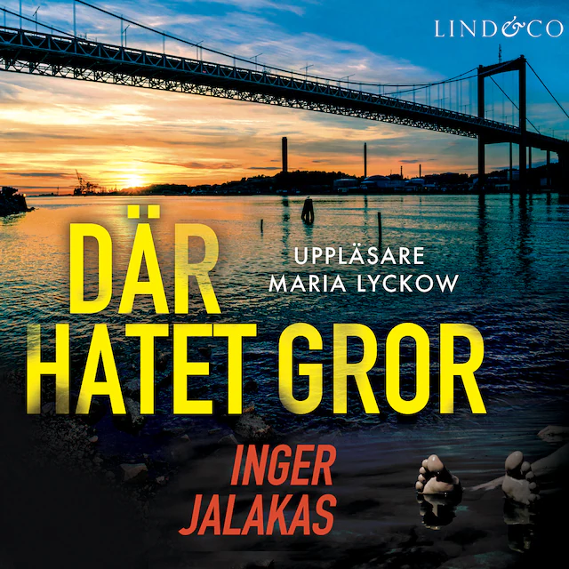 Omslag: Där hatet gror