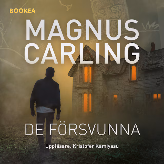 Omslag: De försvunna
