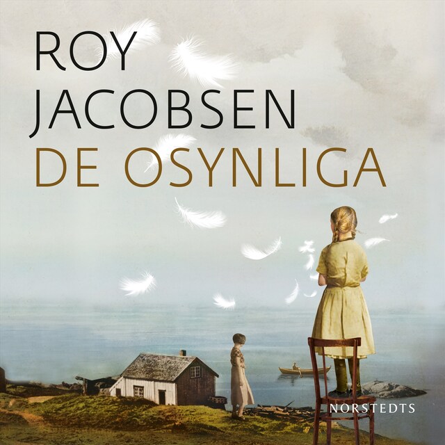 Omslag: De osynliga