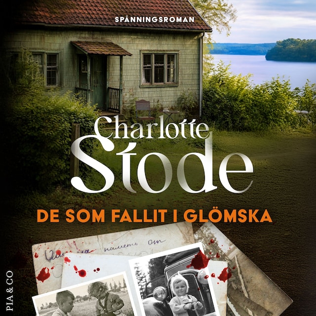 Omslag: De som fallit i glömska