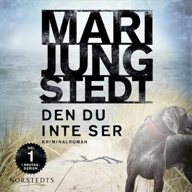 Omslag: Den du inte ser