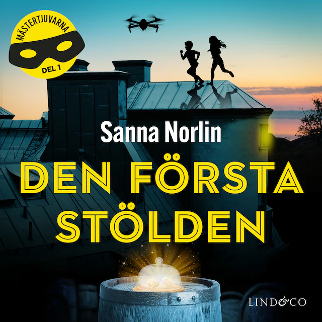 Omslag: Den första stölden