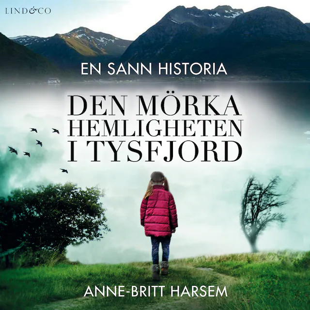 Omslag: Den mörka hemligheten i Tysfjord
