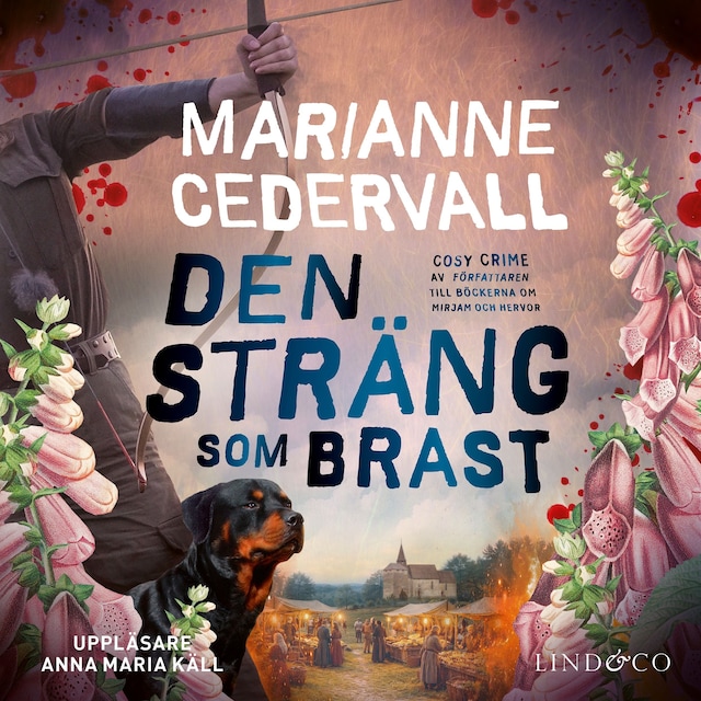 Omslag: Den sträng som brast