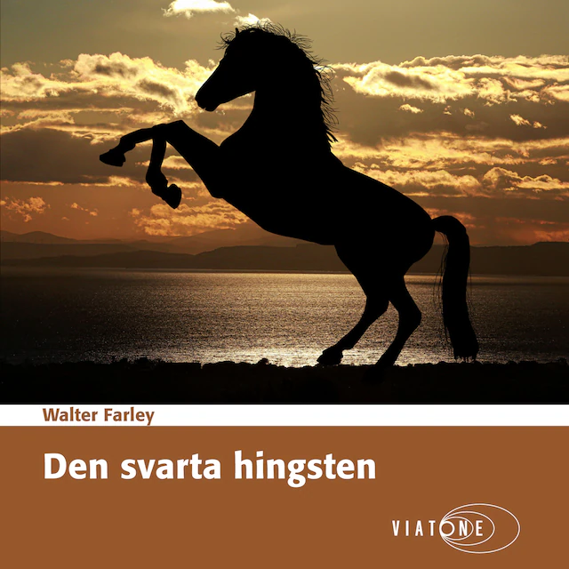 Omslag: Den svarta hingsten