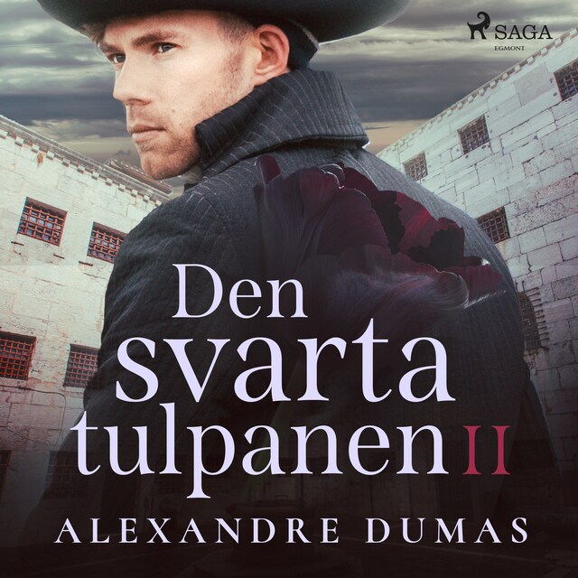 Omslag: Den svarta tulpanen II