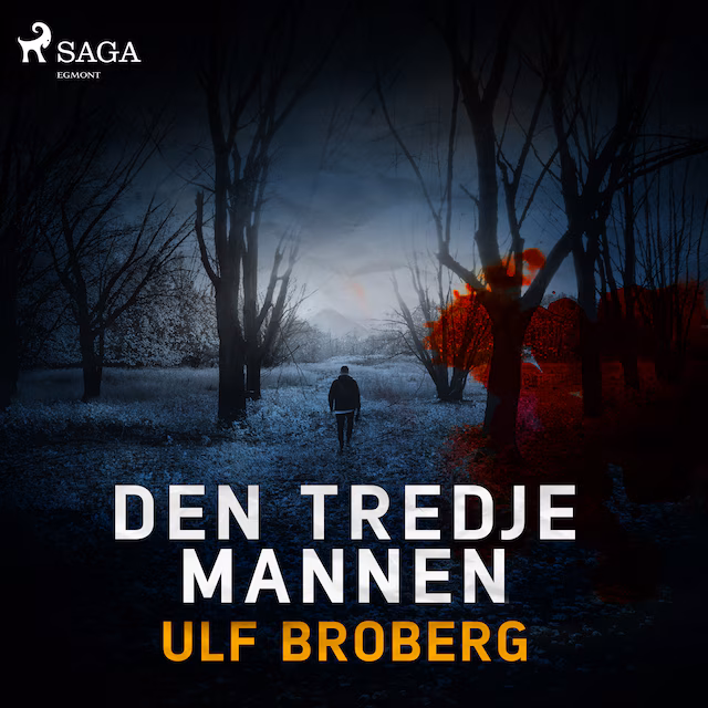 Omslag: Den tredje mannen