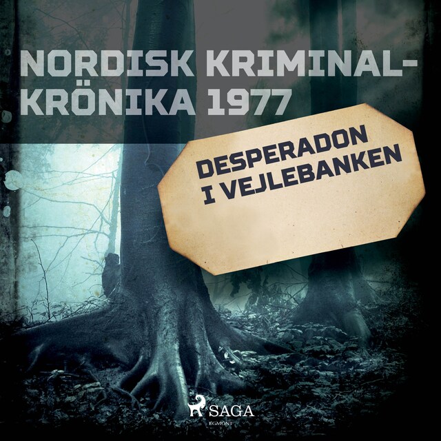 Omslag: Desperadon i Vejlebanken
