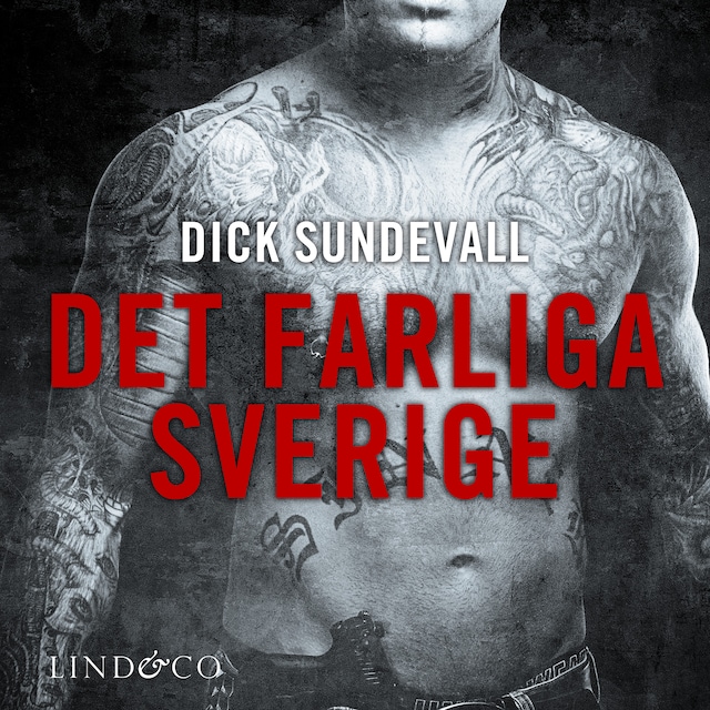 Omslag: Det farliga Sverige