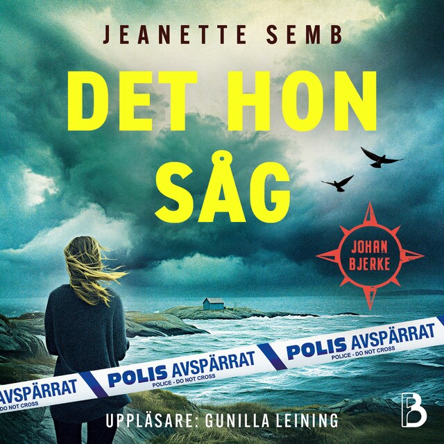 Omslag: Det hon såg