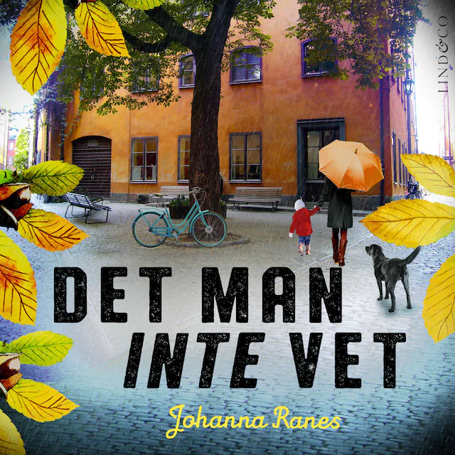 Omslag: Det man inte vet