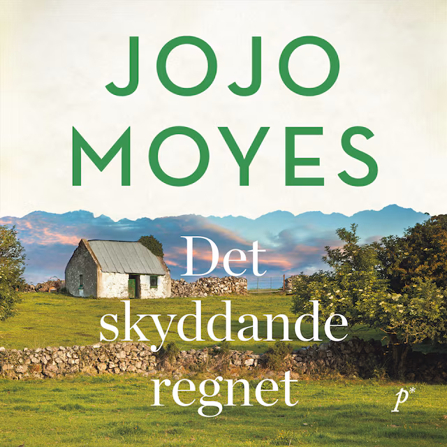 Omslag: Det skyddande regnet