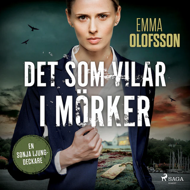Omslag: Det som vilar i mörker