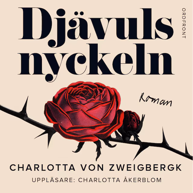 Omslag: Djävulsnyckeln