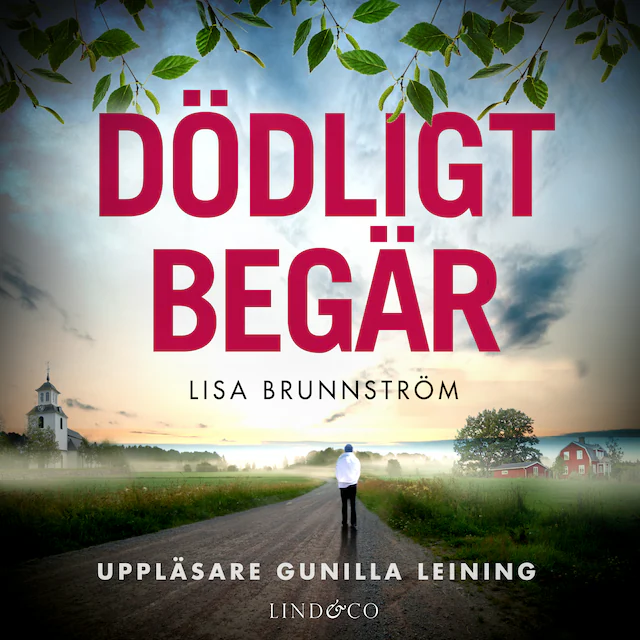 Omslag till ljudboken Dödligt begär