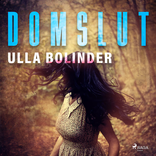 Omslag: Domslut