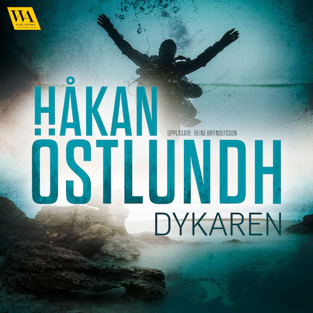 Omslag: Dykaren