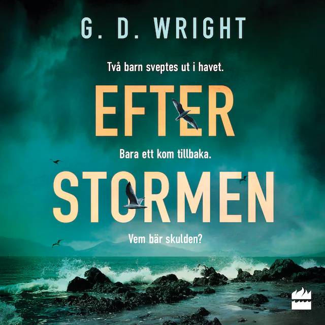 Omslag: Efter stormen