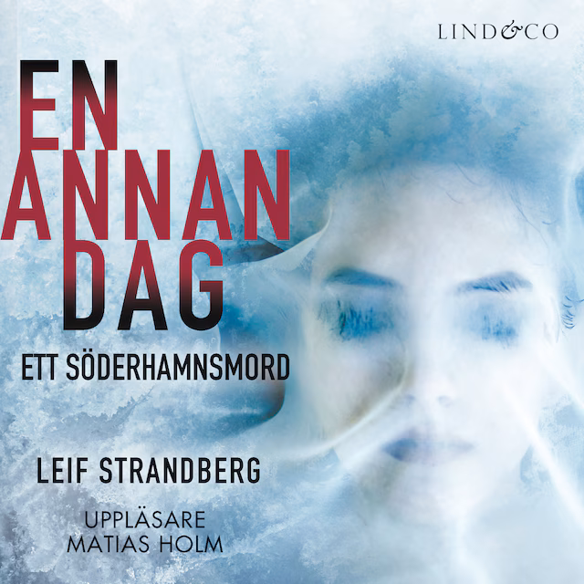Omslag till ljudboken En annan dag