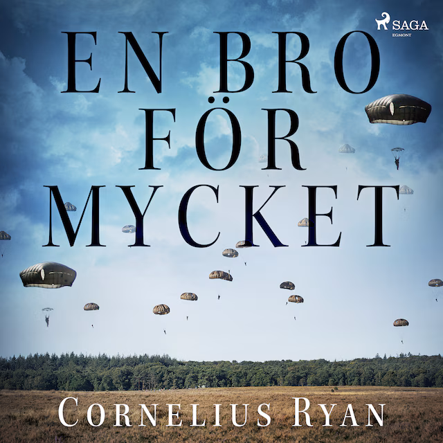 Omslag: En bro för mycket