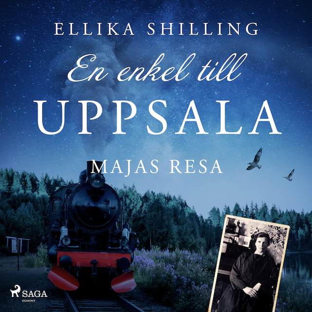 Omslag till ljudboken En enkel till Uppsala