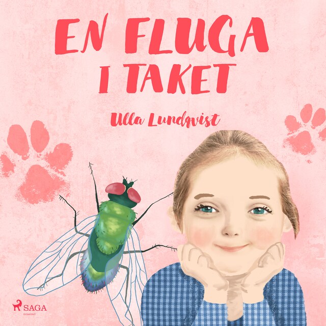 Omslag till ljudboken En fluga i taket