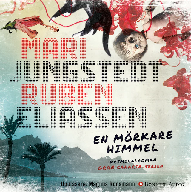 Omslag: En mörkare himmel