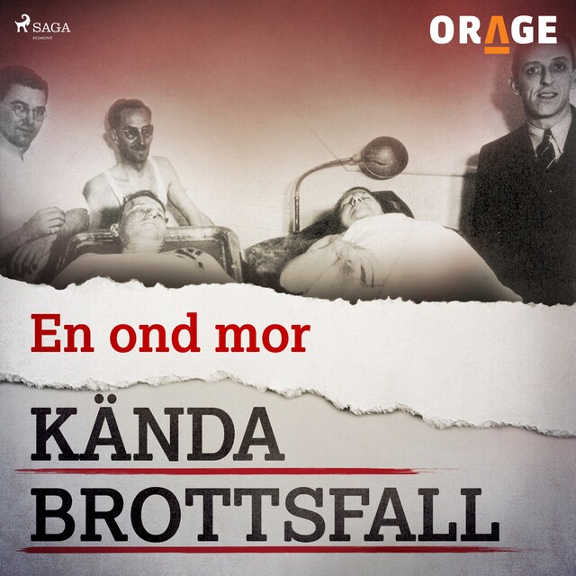 Omslag till ljudboken En ond mor